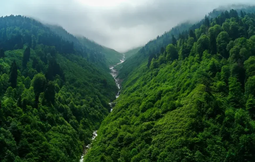 Karadeniz Yaylalar ve Batum Turu – 3 Gece Otel Konaklamalı