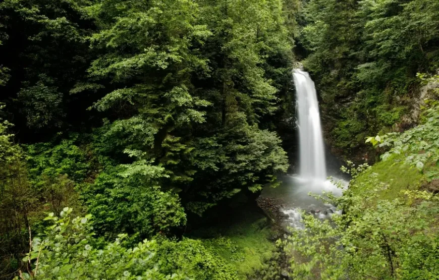 Karadeniz Yaylalar ve Batum Turu – 3 Gece Otel Konaklamalı